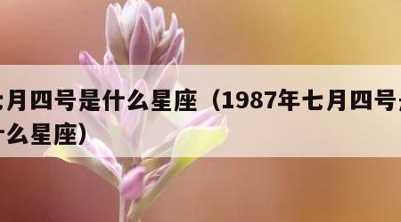 七月四号是什么星座（1987年七月四号是什么星座）