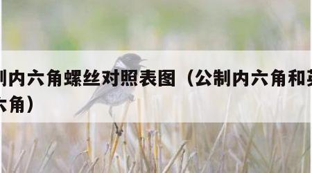 公制内六角螺丝对照表图（公制内六角和英制内六角）