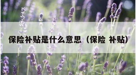 保险补贴是什么意思（保险 补贴）