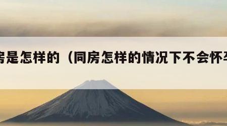 同房是怎样的（同房怎样的情况下不会怀孕呢）
