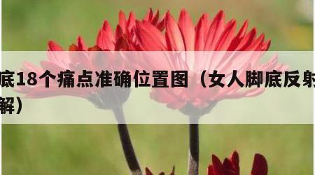 足底18个痛点准确位置图（女人脚底反射区图解）