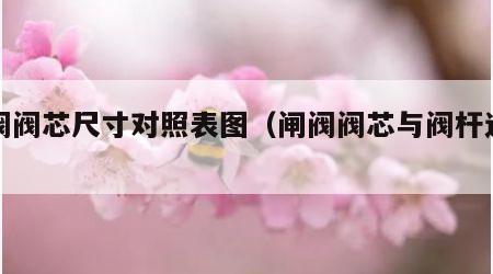 闸阀阀芯尺寸对照表图（闸阀阀芯与阀杆连接图）