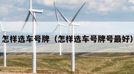 怎样选车号牌（怎样选车号牌号最好）