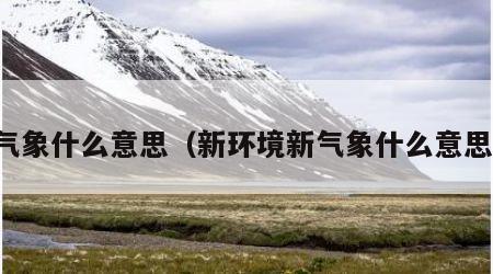 气象什么意思（新环境新气象什么意思）