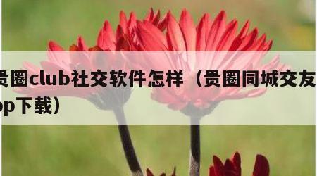 贵圈club社交软件怎样（贵圈同城交友app下载）