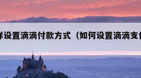 怎样设置滴滴付款方式（如何设置滴滴支付方式）