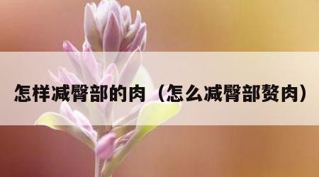 怎样减臀部的肉（怎么减臀部赘肉）