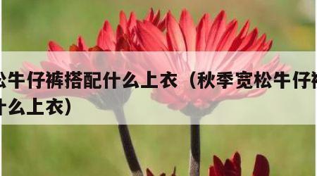 宽松牛仔裤搭配什么上衣（秋季宽松牛仔裤搭配什么上衣）