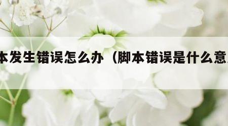 脚本发生错误怎么办（脚本错误是什么意思?）