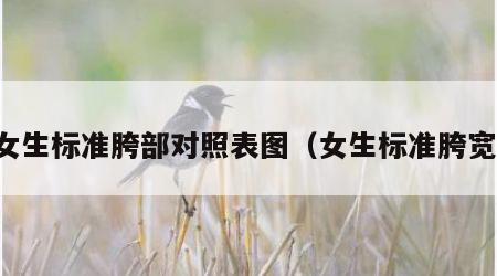 女生标准胯部对照表图（女生标准胯宽）