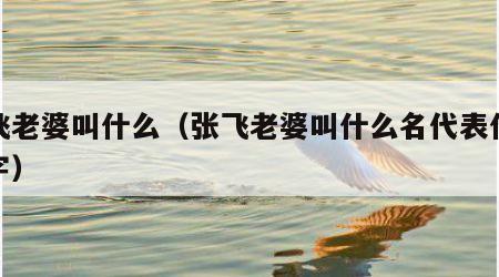 张飞老婆叫什么（张飞老婆叫什么名代表什么数字）