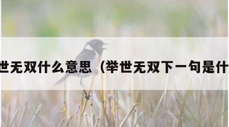 举世无双什么意思（举世无双下一句是什么）