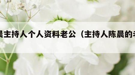 陈晨主持人个人资料老公（主持人陈晨的老公）