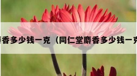 麝香多少钱一克（同仁堂麝香多少钱一克）