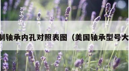 美制轴承内孔对照表图（美国轴承型号大全）