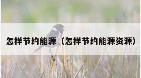 怎样节约能源（怎样节约能源资源）