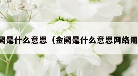 金阙是什么意思（金阙是什么意思网络用语）