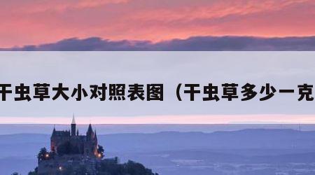 干虫草大小对照表图（干虫草多少一克）