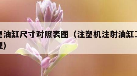 注塑油缸尺寸对照表图（注塑机注射油缸工作原理）