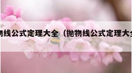 抛物线公式定理大全（抛物线公式定理大全初中）