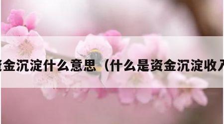 资金沉淀什么意思（什么是资金沉淀收入）
