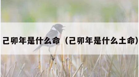 己卯年是什么命（己卯年是什么土命）