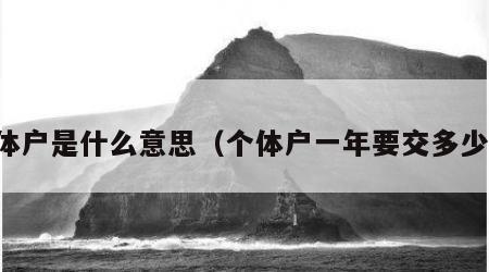 个体户是什么意思（个体户一年要交多少税）