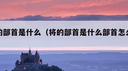 将的部首是什么（将的部首是什么部首怎么读）