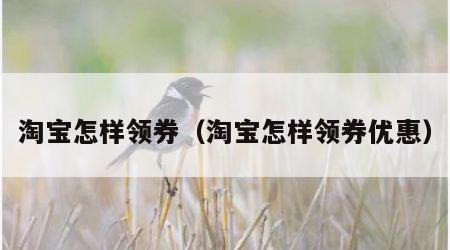 淘宝怎样领券（淘宝怎样领券优惠）