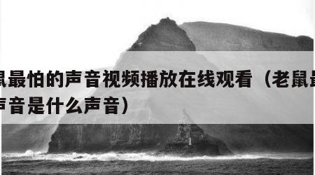 老鼠最怕的声音视频播放在线观看（老鼠最怕的声音是什么声音）