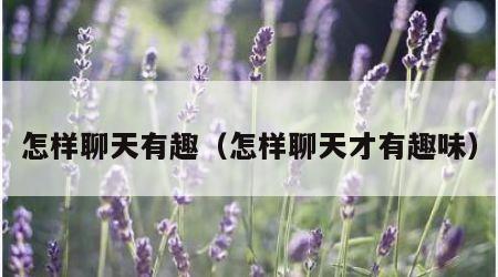 怎样聊天有趣（怎样聊天才有趣味）