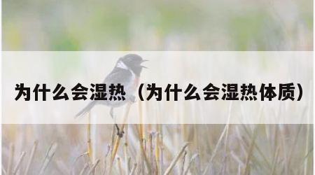 为什么会湿热（为什么会湿热体质）