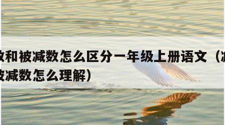 减数和被减数怎么区分一年级上册语文（减数和被减数怎么理解）