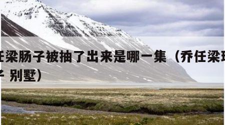 乔任梁肠子被抽了出来是哪一集（乔任梁现场肠子 别墅）