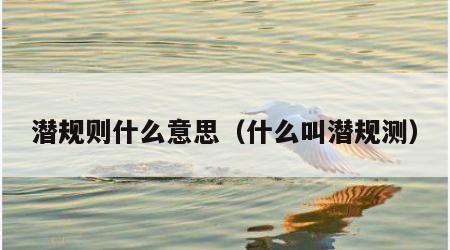 潜规则什么意思（什么叫潜规测）