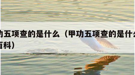 甲功五项查的是什么（甲功五项查的是什么百度百科）
