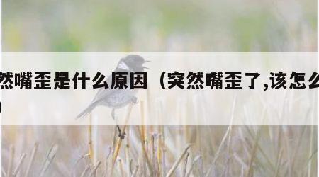 突然嘴歪是什么原因（突然嘴歪了,该怎么办啊）