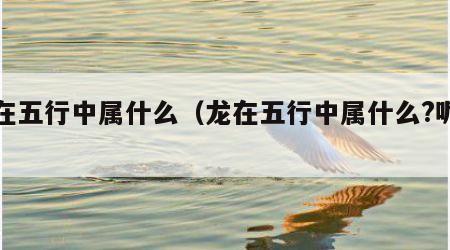 龙在五行中属什么（龙在五行中属什么?呢女孩）