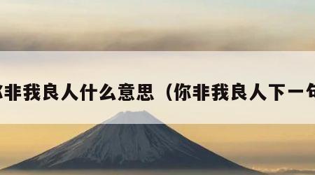 你非我良人什么意思（你非我良人下一句）