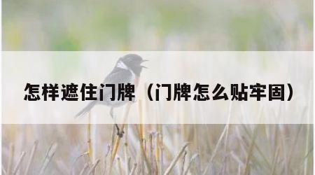 怎样遮住门牌（门牌怎么贴牢固）