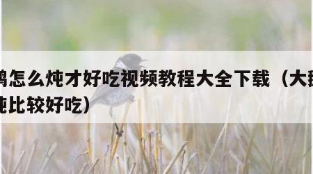 大鹅怎么炖才好吃视频教程大全下载（大鹅怎么炖比较好吃）