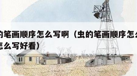 虫的笔画顺序怎么写啊（虫的笔画顺序怎么写的怎么写好看）