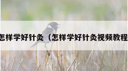 怎样学好针灸（怎样学好针灸视频教程）