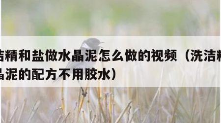 洗洁精和盐做水晶泥怎么做的视频（洗洁精做水晶泥的配方不用胶水）