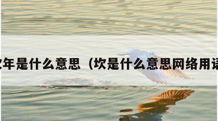 坎年是什么意思（坎是什么意思网络用语）