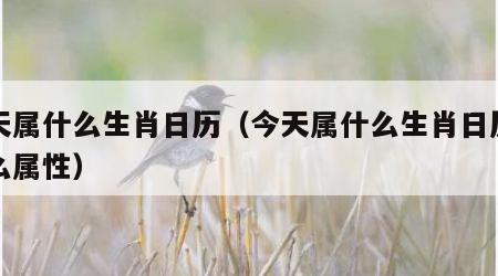 今天属什么生肖日历（今天属什么生肖日历冲什么属性）