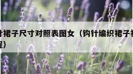 钩针裙子尺寸对照表图女（钩针编织裙子视频教程）