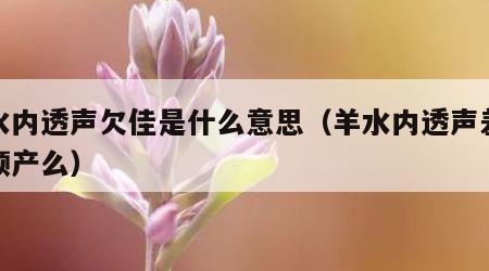 羊水内透声欠佳是什么意思（羊水内透声差还能顺产么）
