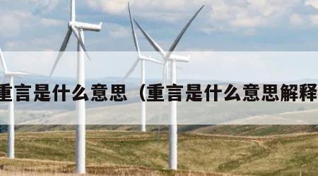 重言是什么意思（重言是什么意思解释）