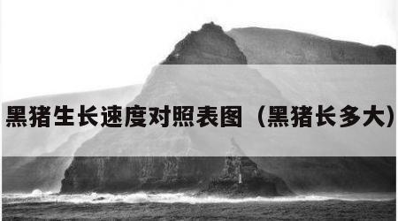 黑猪生长速度对照表图（黑猪长多大）